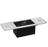 VIV-E1 Embedded RFID Access 4