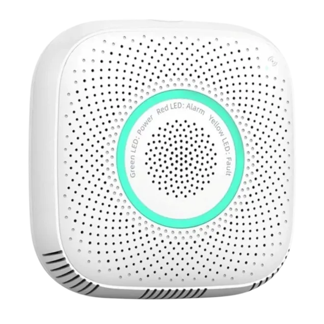 Smart Wi-fi Natural Gas Detector VIV-WS2CG-TY