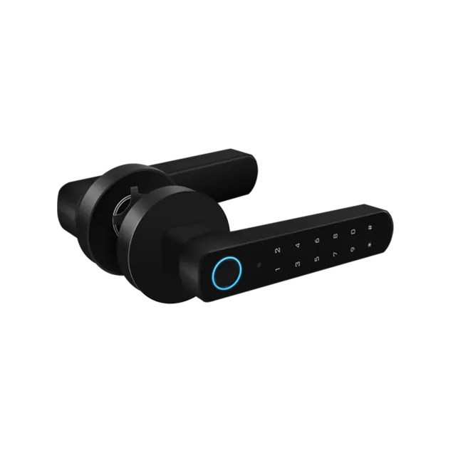 VIV-D100-BT Wireless Smart Lock Access