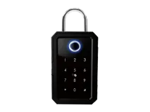 VIV-D3 Smart Key Box Access 2