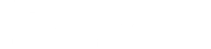 Optowire